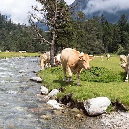 Le Gypaete, T1 Bis, Vue Montagne, Wifi, Ascenseur, Balcon, 6 Personnes * Cauterets