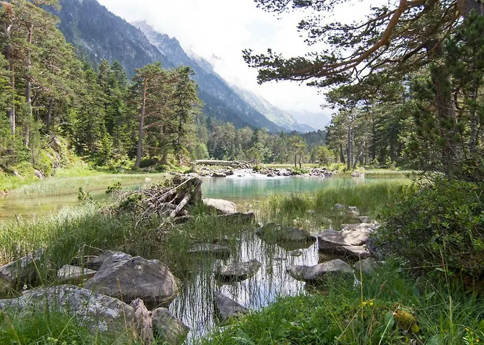 Apartment Le Gypaete, T1 Bis, Vue Montagne, Wifi, Ascenseur, Balcon, 6 Personnes Cauterets