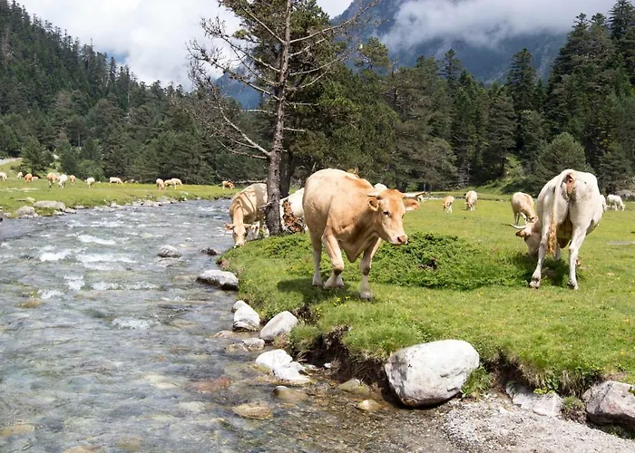 Le Gypaete, T1 Bis, Vue Montagne, Wifi, Ascenseur, Balcon, 6 Personnes * كوتيريه